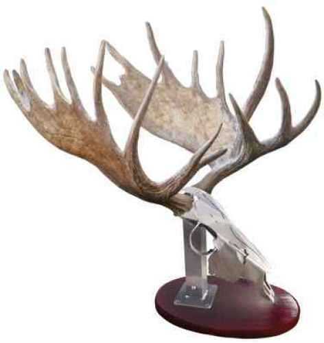 Do All Iron Bull Antler Mount X